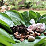பக்தர்களுக்கு வெற்றிலை புகையிலை வழங்கியவரை தூக்கிய அனுரா அரசு