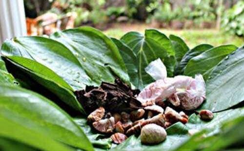 பக்தர்களுக்கு வெற்றிலை புகையிலை வழங்கியவரை தூக்கிய அனுரா அரசு