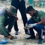 செம்மணி அகழ்வாராய்ச்சியின் 100-வது நாள் – மனித எலும்புக்கூடுகள் 500-ஐத் தாண்டியது