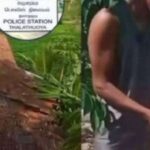 தலத்துவோயாவில் வைரலான பூனை மீதான கொடுமைச் சம்பவம் தொடர்பாக இருவர் கைது
