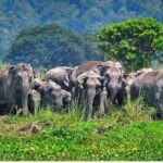 எரியும் தீப்பந்தங்களுடன் போராட்டம்