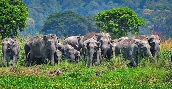 எரியும் தீப்பந்தங்களுடன் போராட்டம்