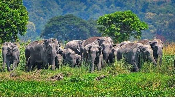 எரியும் தீப்பந்தங்களுடன் போராட்டம்