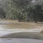 கல ஓயா ஆற்றின் தாழ்வான பகுதிகளுக்கு வெள்ள எச்சரிக்கை