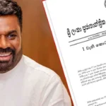 நிலக்கரி இறக்குமதி விசாரணை விசாரணை ஆரம்பம்